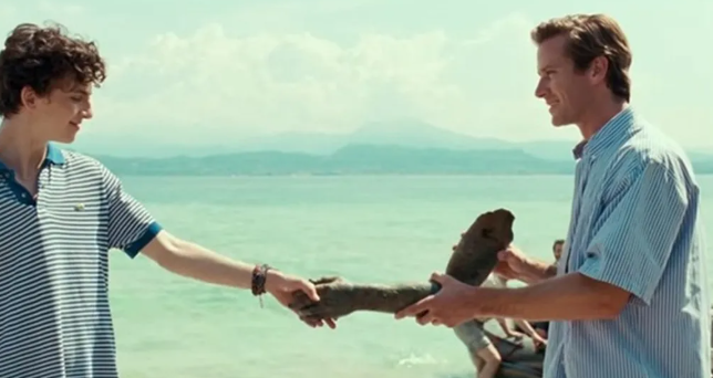 Review Film Call Me by Your Name: Cinta Musim Panas